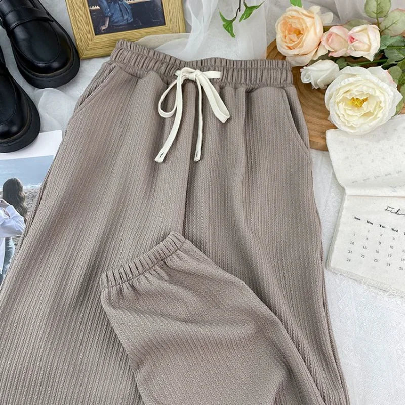 Women Sweatpants Spring Autumn Elastic Waist Harem Pants Drape Loose Pants Loose Comfy Straight Casual Pants Sports Sweatpants