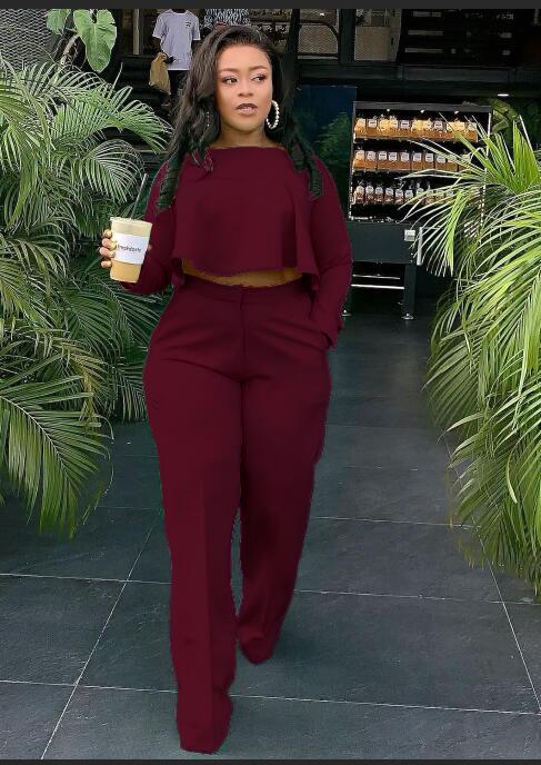 Two Piece Elastic Waist Tracksuit Set